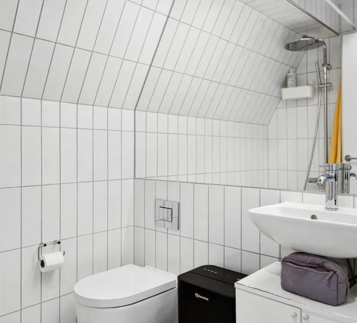 דירות קופנהגן Charming Loft City Center 0*,  דנמרק